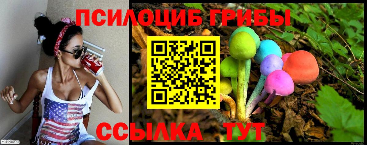 Псилоцибиновые грибы MAGIC MUSHROOMS  Вход с VPN  Псилоцибиновые грибы Psilocybine cubensis  Берёзовский 