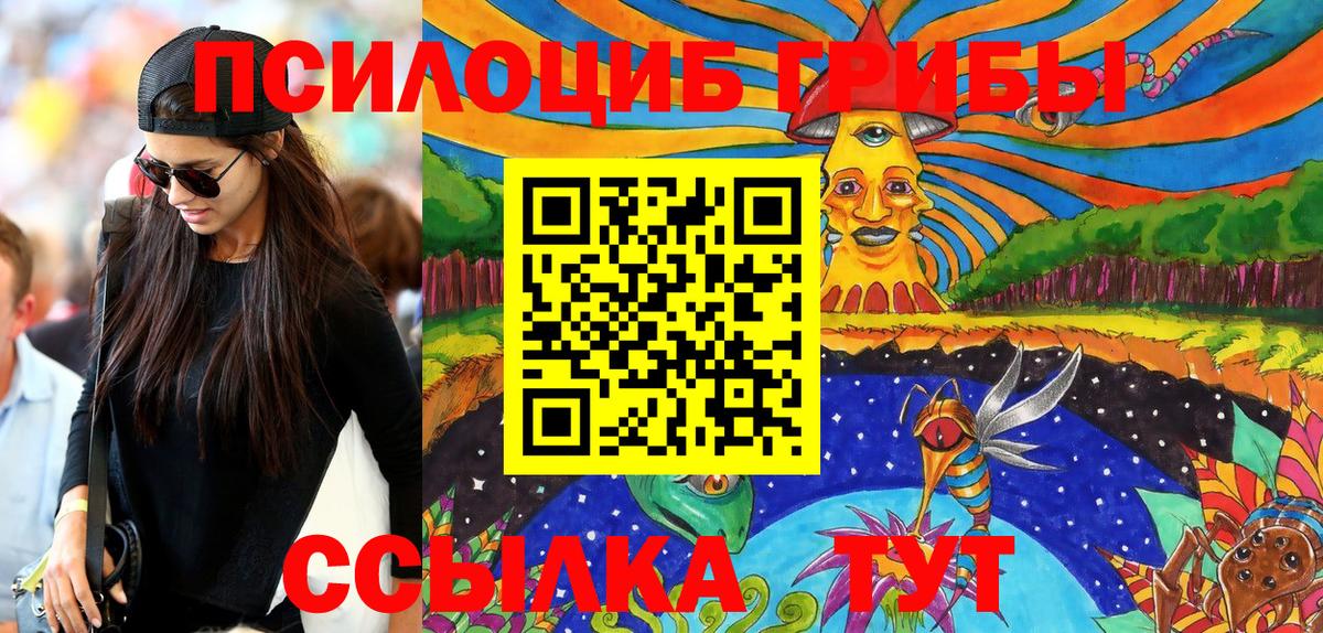 Галлюциногенные грибы Psilocybine cubensis Берёзовский